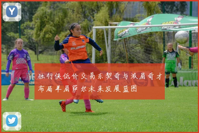 独行侠低价交易东契奇与浓眉奇才布局羊眉萨尔未来发展蓝图
