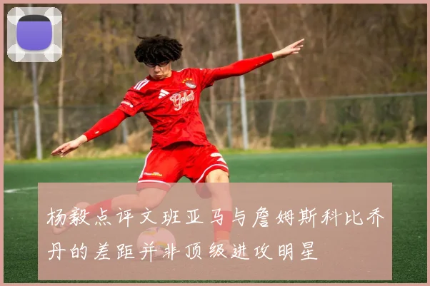 杨毅点评文班亚马与詹姆斯科比乔丹的差距并非顶级进攻明星